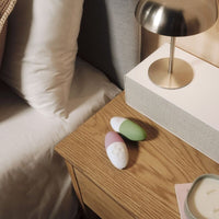 LELO Siri 3 pistache packaging