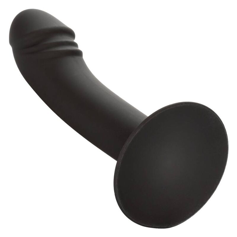 Plug anal Curved Anal Stud – CalExotics
